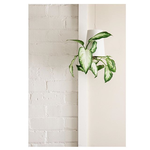Sky Planter Recycled White Boskke
