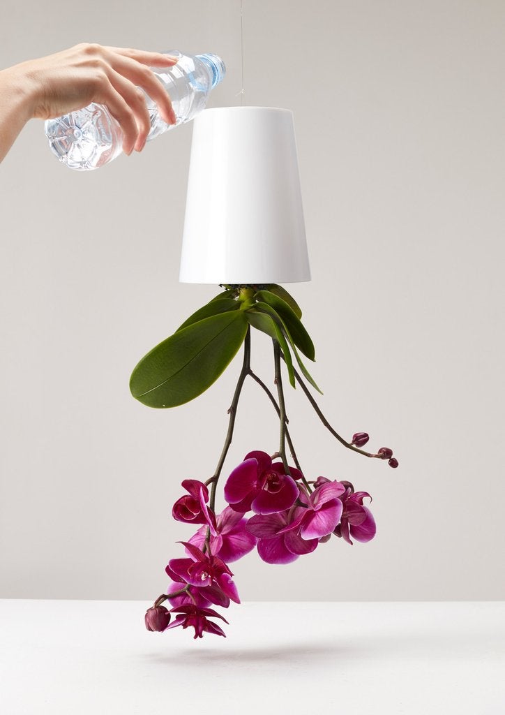 Sky Planter Recycled White Boskke | Botaniful