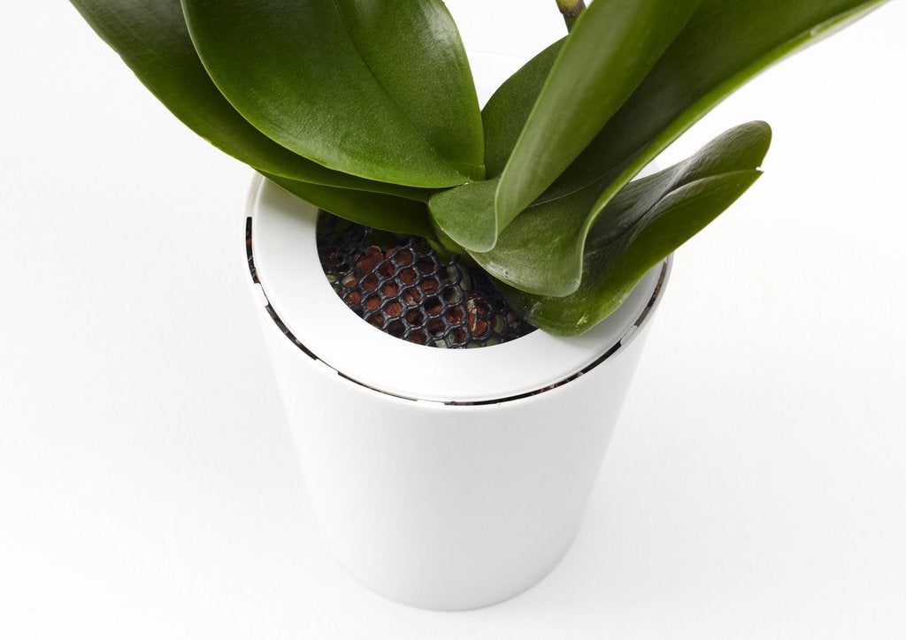 Sky Planter Recycled White Boskke | Botaniful