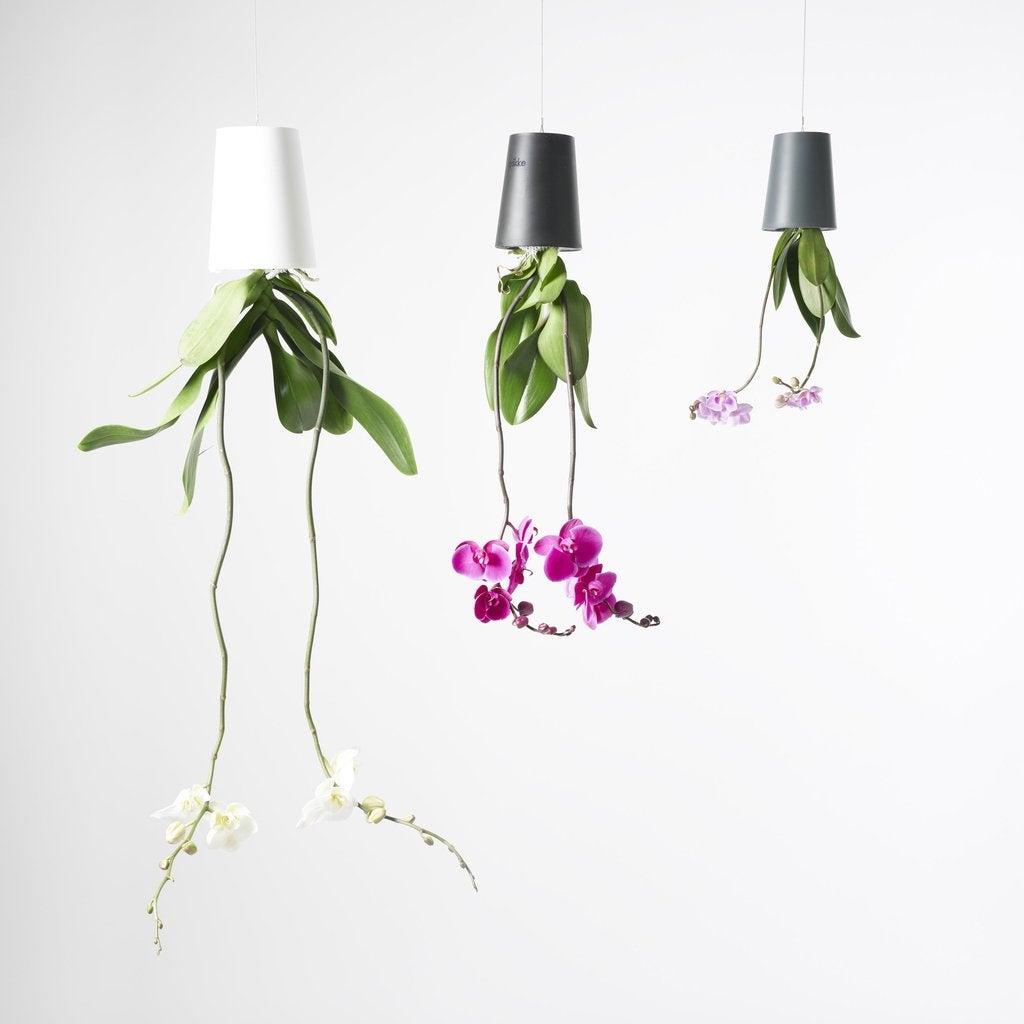 Sky Planter Recycled White Boskke | Botaniful