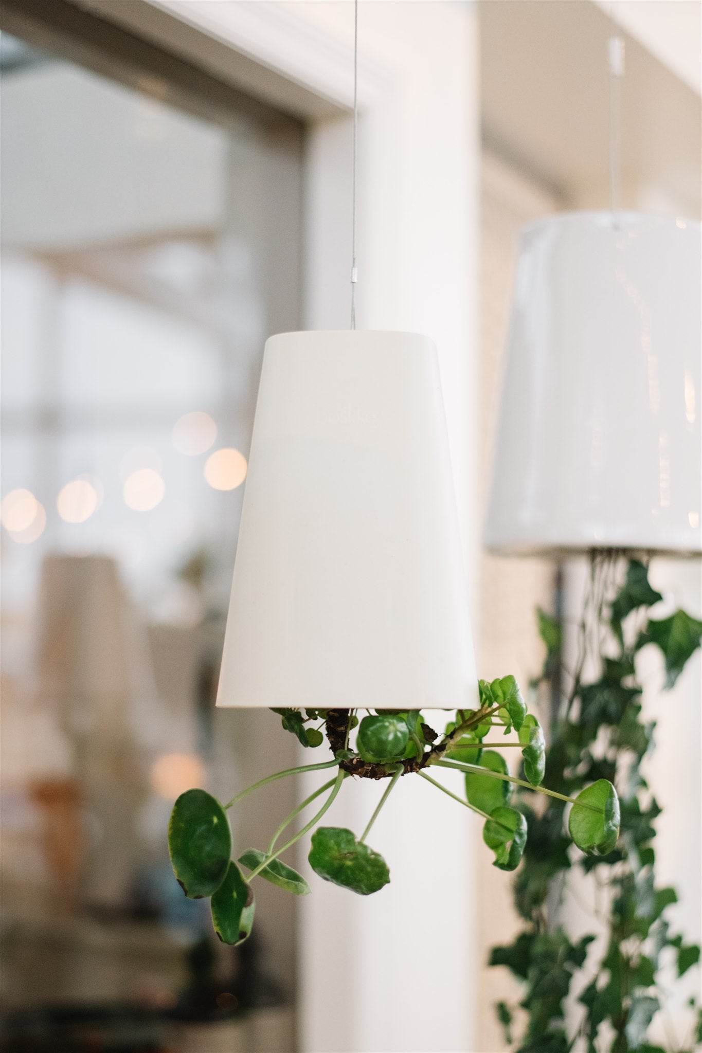 Sky Planter Recycled White Boskke | Botaniful