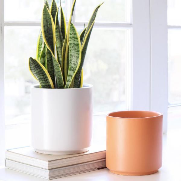 Planter Cylinder Ceramic Peach | Botaniful
