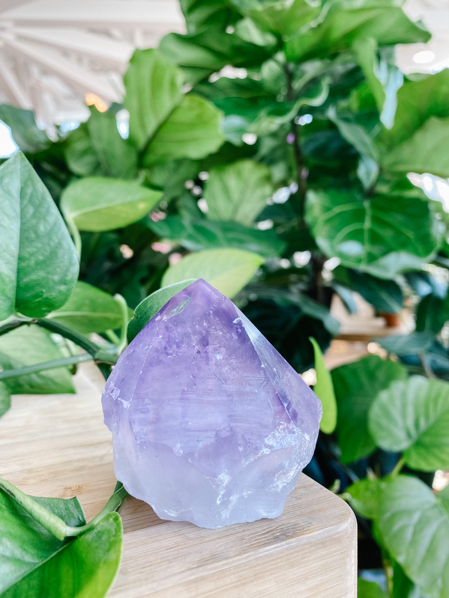 Amethyst Angel Aura Top Polished Point Cut Base Botaniful