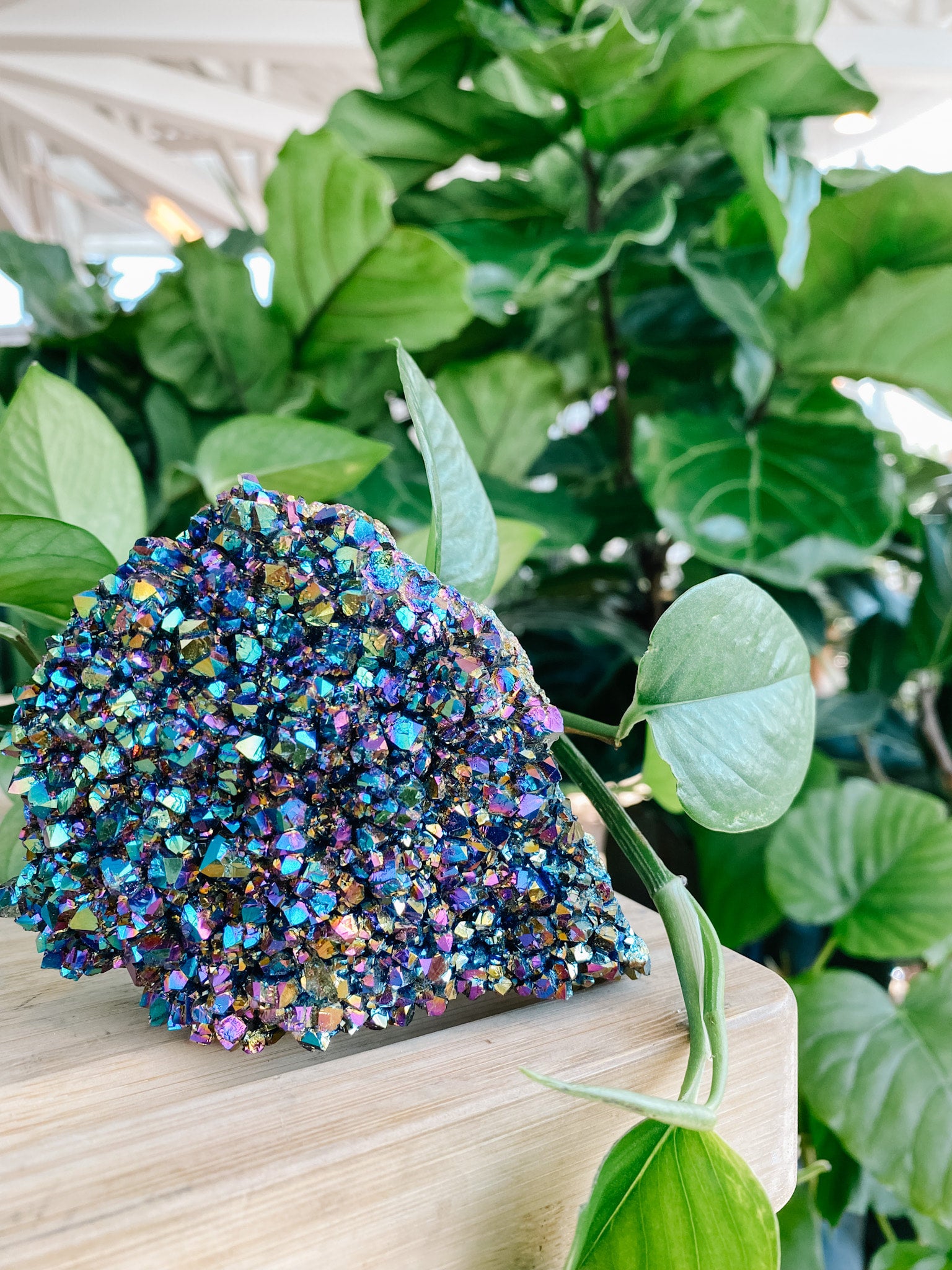 Beautiful 6” long, deals 9 oz rainbow titanium amethyst cluster free form!