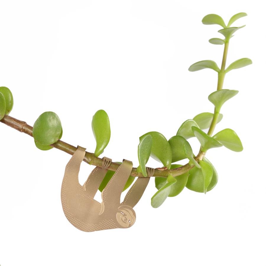 Plant Animals Brass