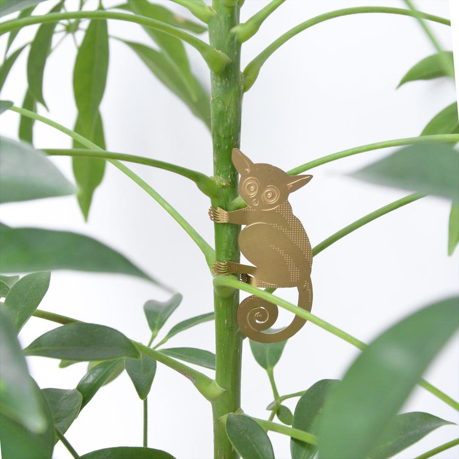 Brass Plant Accessory: Meerkat