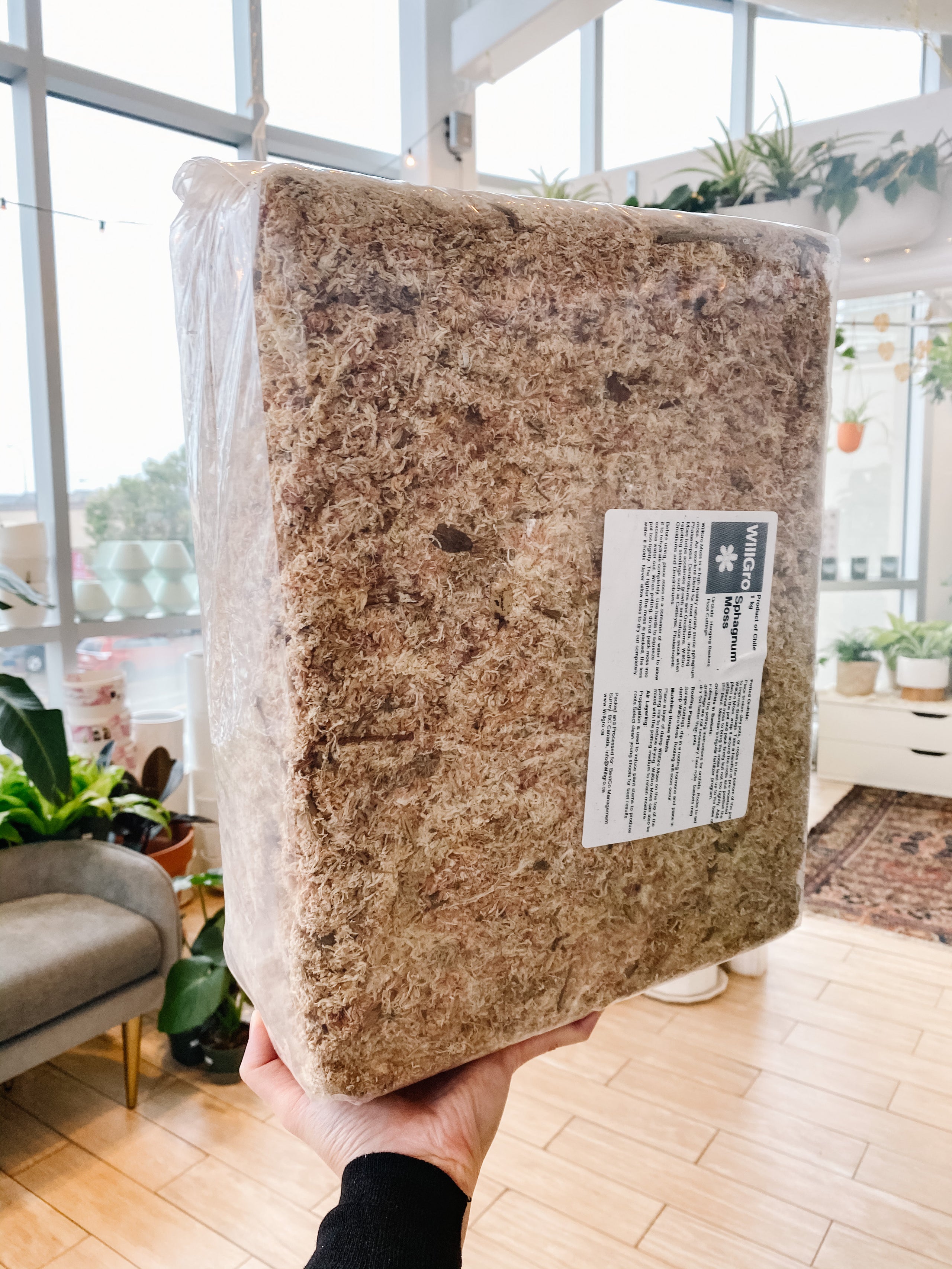 Buy Sphagnum Moss for sale | 20% Retail